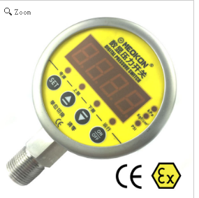 上海銘控數(shù)顯壓力開關MD-S828E