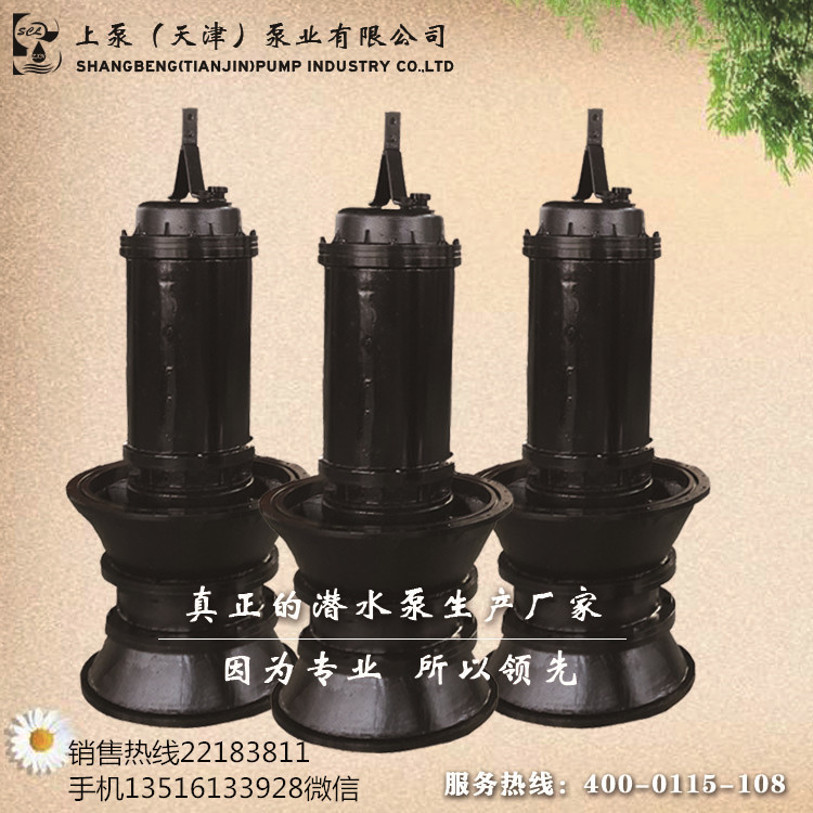 陜西榆林葉片全調節(jié)式潛水軸流泵