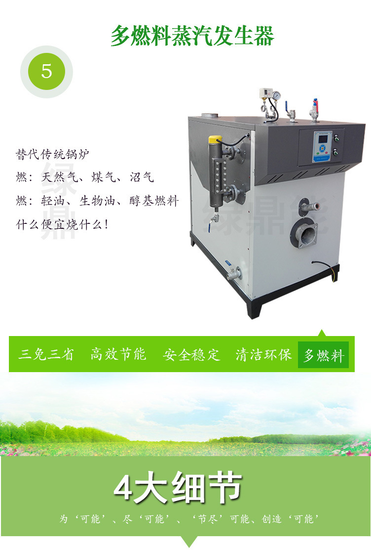 SZS200Q3燃?xì)馊加驼羝l(fā)生器詳情頁圖片