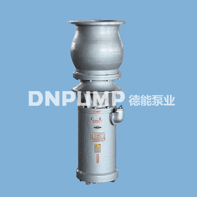 天津德能泵業潛水混流泵