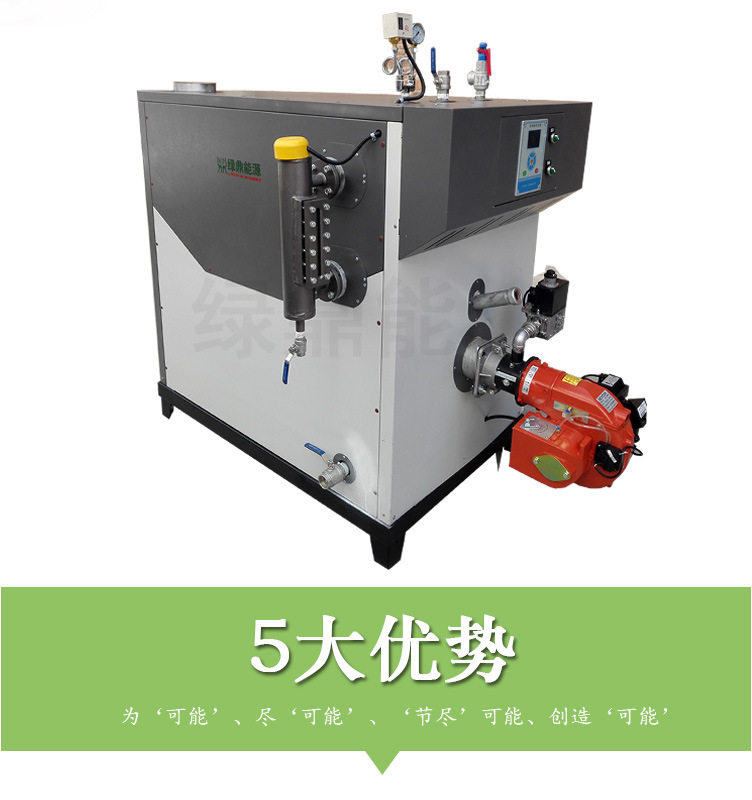 SZS200Q3燃?xì)馊加驼羝l(fā)生器詳情頁圖片