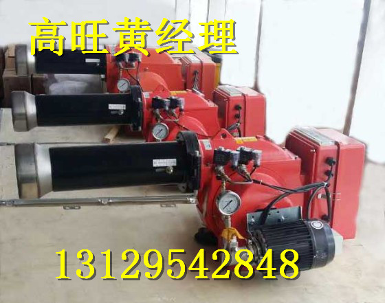 獨(dú)家供應(yīng)工業(yè)鍋爐燃燒機(jī)環(huán)保節(jié)能全國(guó)發(fā)貨