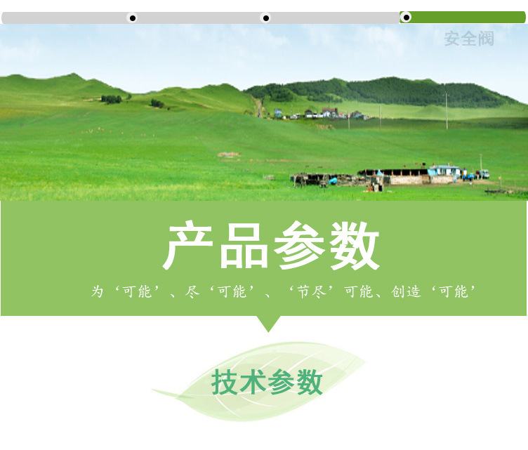 SZS200Q3燃氣燃油蒸汽發生器詳情頁圖片