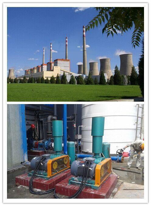 瑞拓鍋爐污水處理羅茨風機