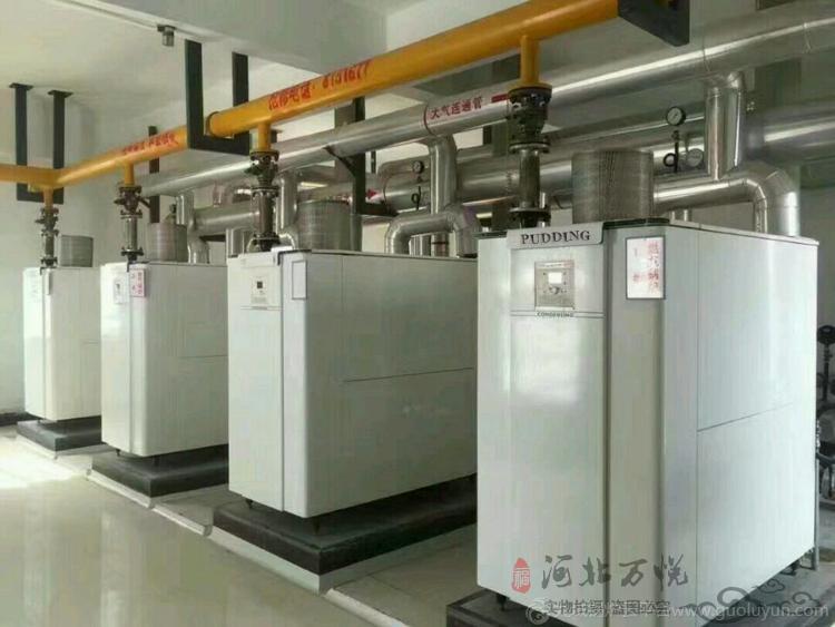 全預(yù)混冷凝鍋爐|燃氣鍋爐|低氮冷凝模塊鍋爐|燃氣熱水鍋爐