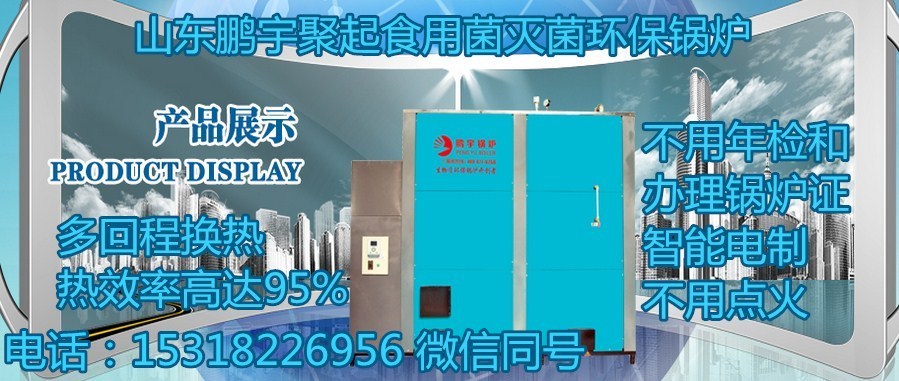 山東聚起蒸汽食用菌環保鍋爐