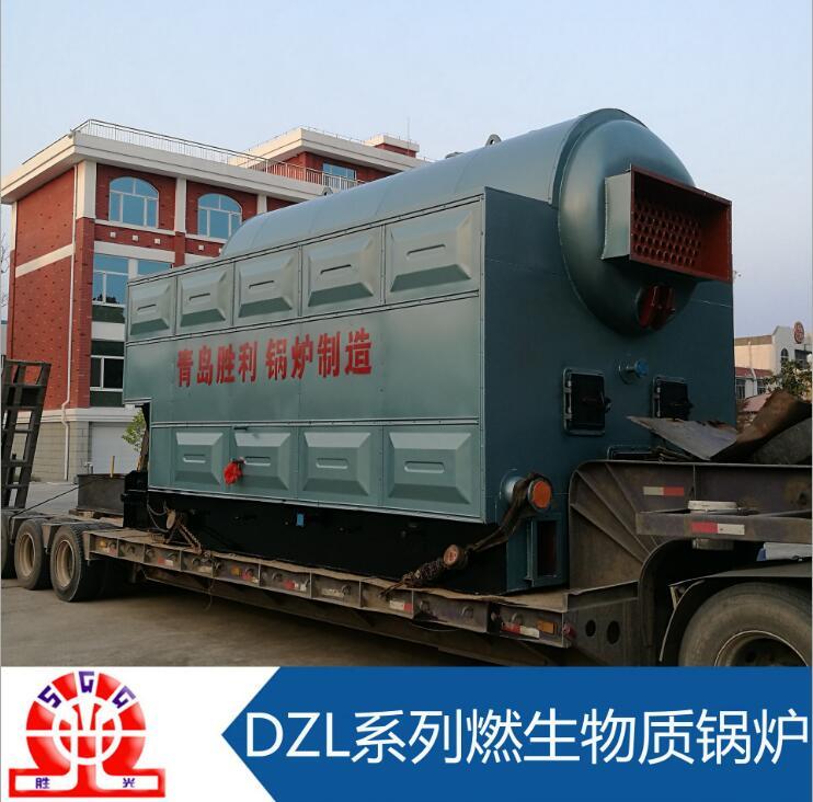 環保生物質鍋爐廠家 供應生物質蒸汽鍋爐