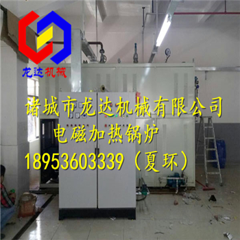 工業用龍達品牌直銷電磁加熱鍋爐LD0.5噸
