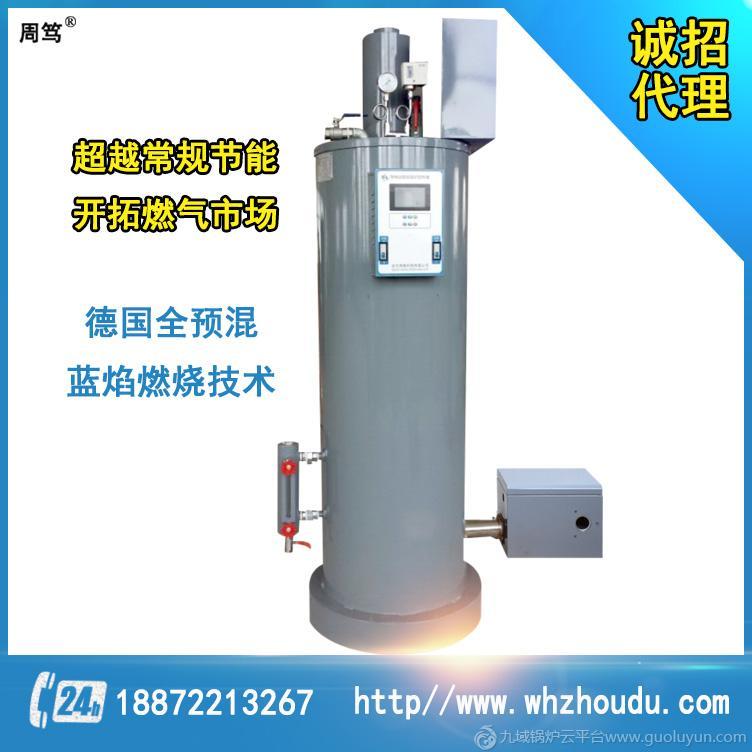 276kg/h--483kg/h免監(jiān)檢全自動燃?xì)庹羝l(fā)生器