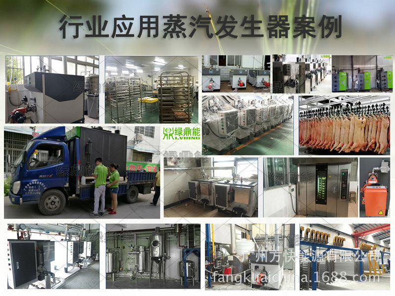 燃氣蒸汽發生器案例12-11(28)